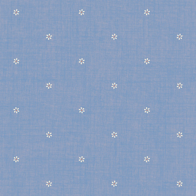 Blue & White