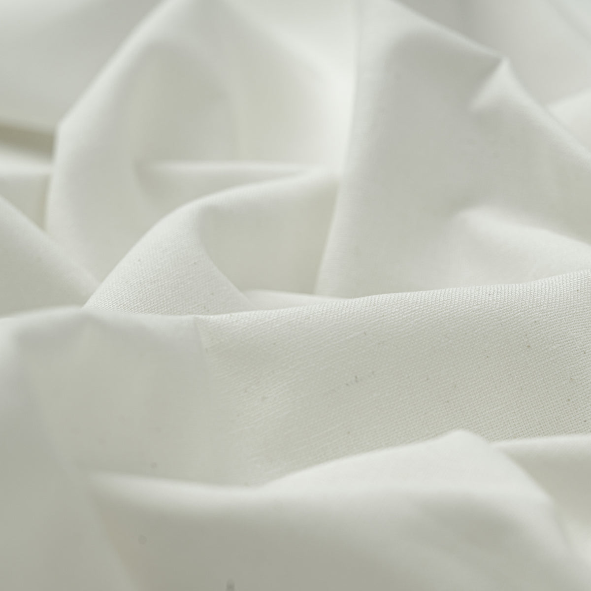 Signature Cotton