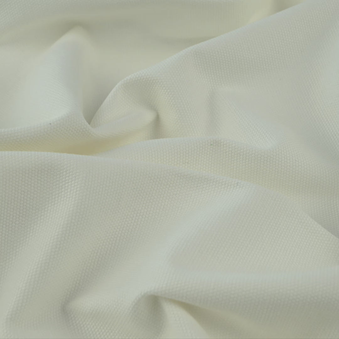Cotton Canvas